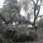 Ice Photo 3