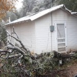 Ice Damage Cabin 111 121129